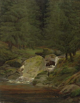 Reprodução do quadro The Evergreens by the Waterfall