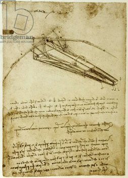 Taidejuliste The Machine for flying by Leonardo da Vinci  - Codex Atlantique