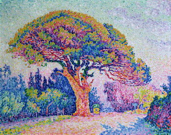 Reprodução do quadro The Pine Tree at St. Tropez, 1909