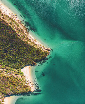 Art Photography The Rabbit