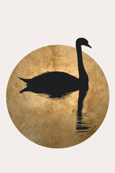 Illustration The Swan