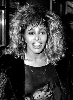 Arte Fotográfica Tina Turner