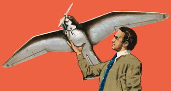 Reprodução do quadro Unidentified man with bird-shaped plane with propeller