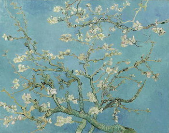Fine Art Print Vincent van Gogh - Almond Blossoms