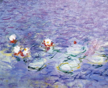 Reprodução do quadro Water Lilies