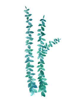 Kuva Watercolor eucalyptus in teal