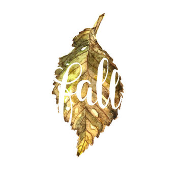 Ilustração Watercolor illustration of text on brown leaf background. autumn style.