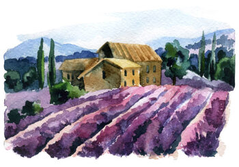 Ilustração Watercolor lavender field landscape. Summer in