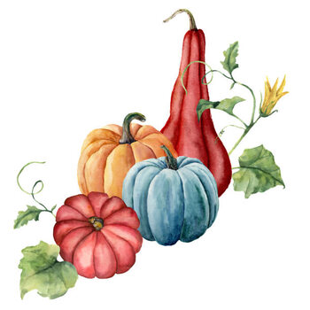 Ilustração Watercolor pumpkins composition