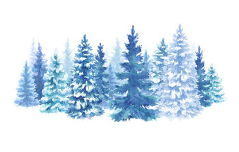 Illustration watercolor snowy forest illustration, Christmas fir