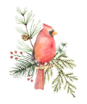 Ilustração Watercolor vector Christmas bouquet with Bird