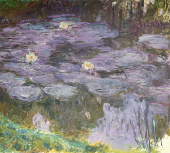Reprodução do quadro Waterlilies, 1917