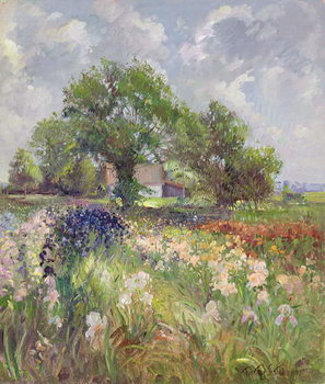 Reprodução do quadro White Barn and Iris Field, 1992
