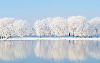 Illustration winter landscape with beautiful reflection in