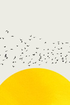 Ilustração A Thousand Birds