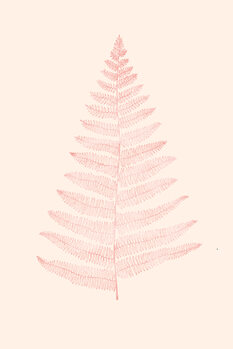 Ilustração Botanica Minimalistica Rouge
