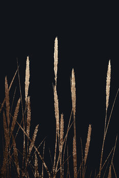 Ilustração Golden Fields In The Dark