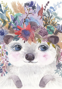 Ilustração Hedgehog