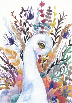 Ilustração Peacock