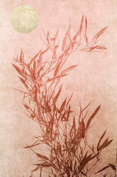 Ilustração Sentimental Touch