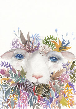 Ilustração Sheep