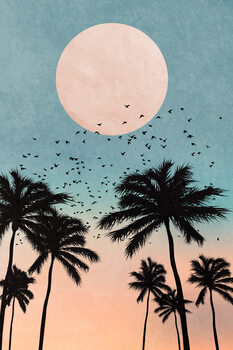 Ilustração Sunrise