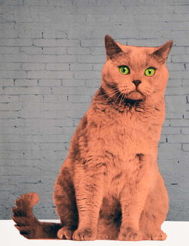 Reprodução do quadro Everybody wants to be a cat, 2017,