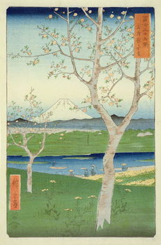Reprodução do quadro Fuji from Koshigaya, Mushashi, No.14 from the series '36 Views of Mt. Fuji', ('Fuji Saryu Rokkei'),