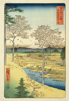 Reprodução do quadro Fuji from Yuhi-Ga, Megwo, No.10 from the series '36 Views of Mt.Fuji' ('Fuji Saryu Rokkei'),
