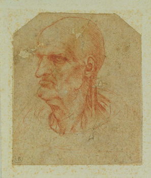 Reprodução do quadro Head of a beardless old man, left profile