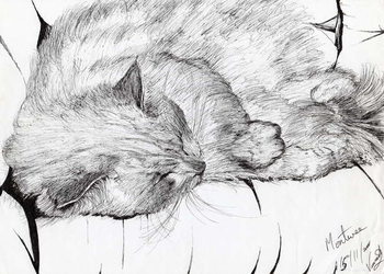 Reprodução do quadro montwee, 2000,