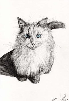 Reprodução do quadro Monty, 2009,