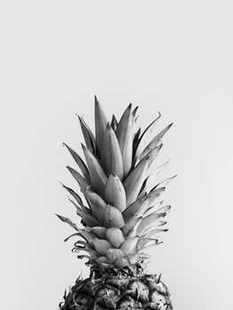 Arte Fotográfica Exclusiva pineappleblackandwhite