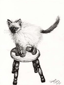 Reprodução do quadro Pudsquiz Belina, 2015,