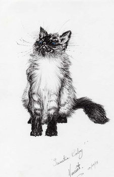 Reprodução do quadro sweetie baby, 2015,