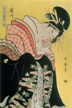 Reprodução do quadro Takigawa from the Tea-House, Ogi