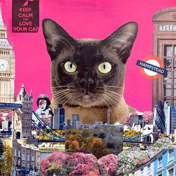 Reprodução do quadro Urban cat, 2015,