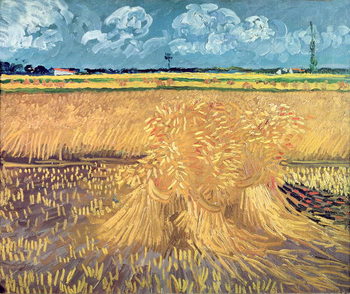 Reprodução do quadro Wheatfield with Sheaves, 1888