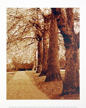 Art Print Autumn Stroll I
