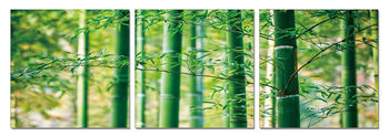 Bamboo Forest - Leaves Slika