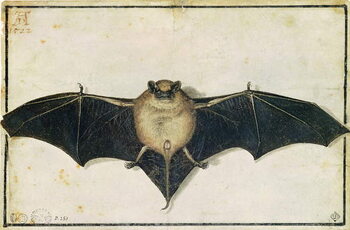 Принти на полотні Bat, 1522