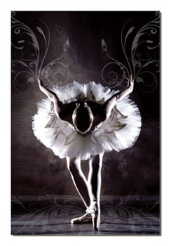 Black & White Ballerina Taulusarja