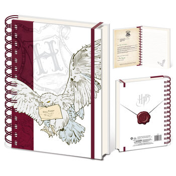 Caderno Harry Potter - Special Delivery