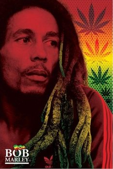 Uokvirjen plakat Bob Marley - dreads