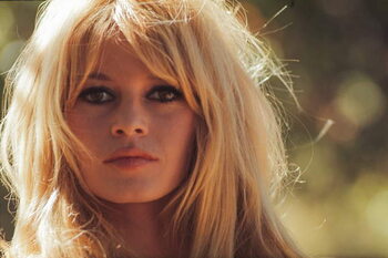 Принти на полотні Brigitte Bardot, 1965