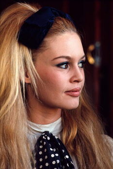 Принти на полотні Brigitte Bardot, 1965