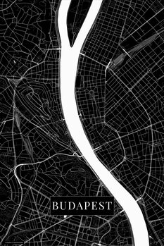 Принти на полотні Budapest black