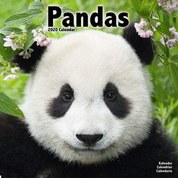 Calendar 2020  Pandas