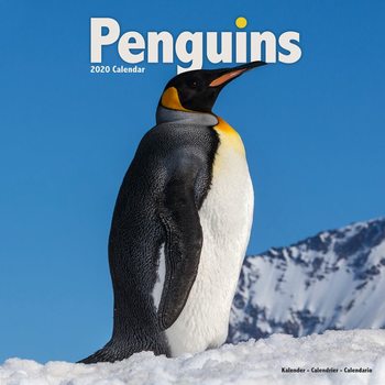 Calendar 2020  Penguins