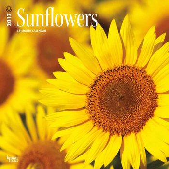 Calendar 2020  Sunflowers